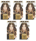 L'oreal Superior Preference Ombre Touch, Ot5 For Medium Brown Hair Choose Pack, Hair Color, L'Oreal, makeupdealsdirect-com, Pack of 5, Pack of 5